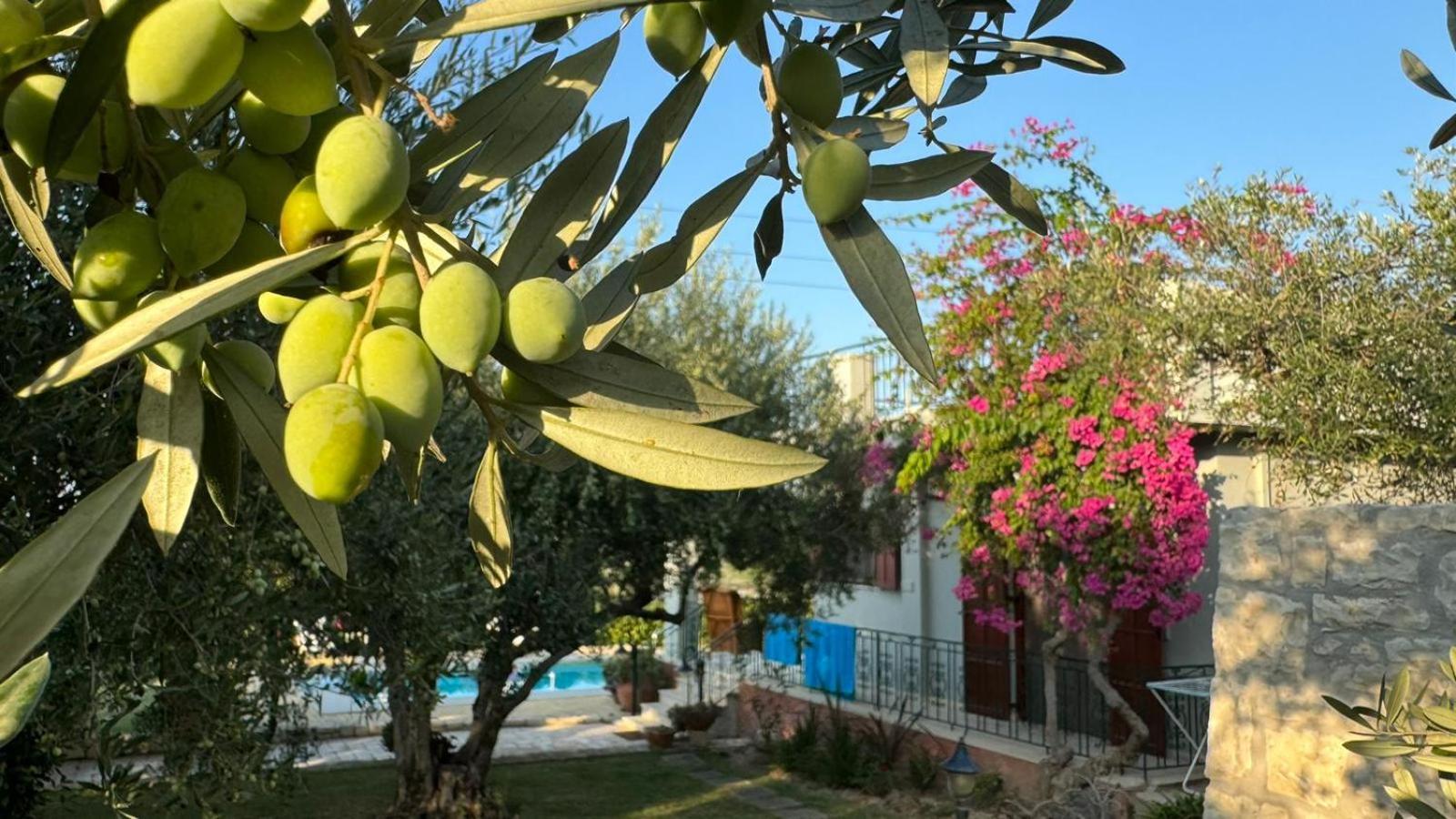 Lily'S Cottage Платанес Екстер'єр фото