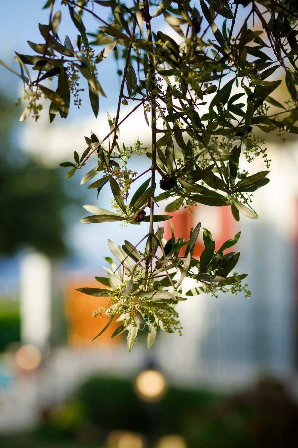 Lily'S Cottage Платанес Екстер'єр фото
