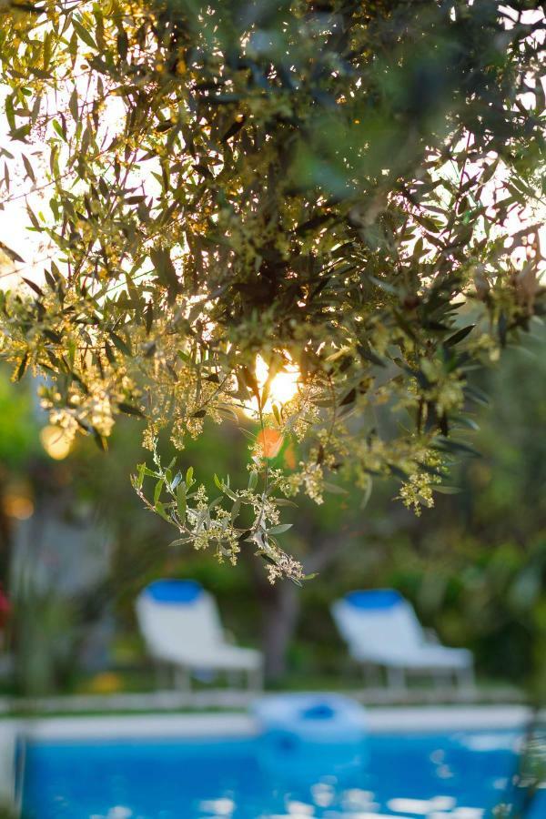 Lily'S Cottage Платанес Екстер'єр фото
